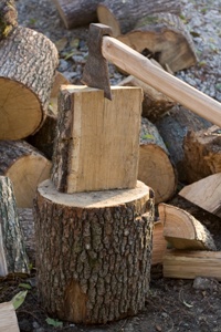 category article image